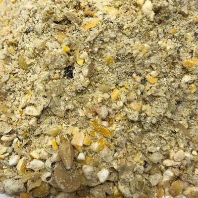 Stone House Grain 16% Organic Soy-Free Poultry Layer Feed bag